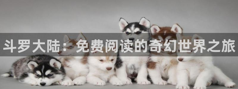 香蕉文化漫画书免费阅读下拉