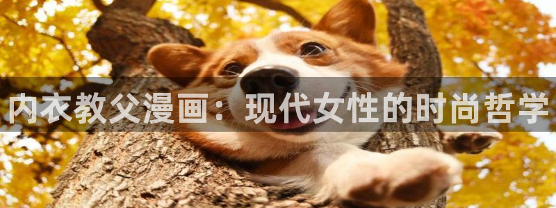 香蕉漫画免费读漫画网下拉式：内衣教父漫画：现代女性的时尚哲学