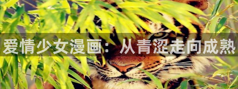 香蕉漫画免费看：爱情少女漫画：从青涩走向成熟