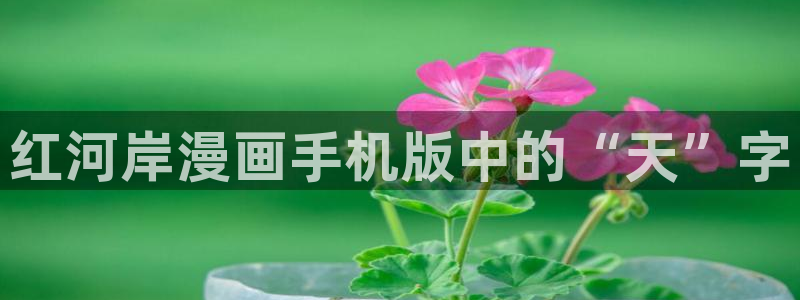 香蕉文化漫画小说更新快：红河岸漫画手机版中的“天”字