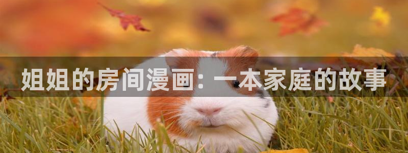 香蕉漫画免费读漫画网下拉式免费：姐姐的房间漫画: 一本家庭的故事