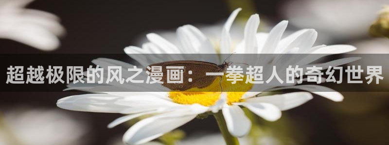 香蕉文化漫画书