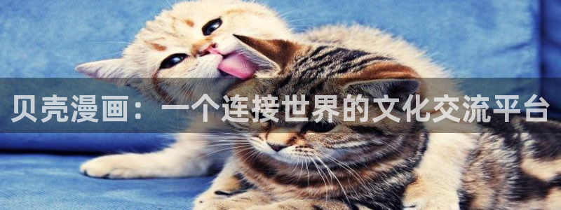 香蕉网站在线观看